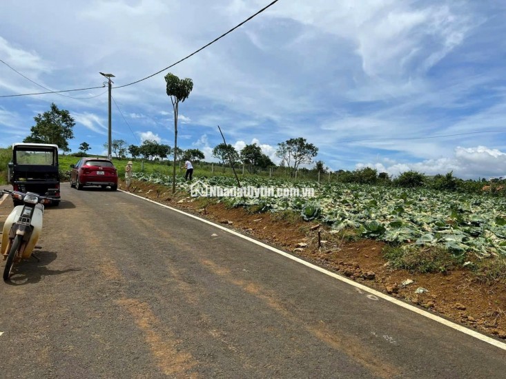 [HOT] Duy nhất còn 1 lô tại NaLi Chill - Homestay and BBQ giá bán chỉ 850TR